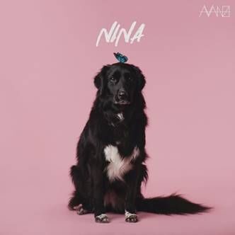 “Nina”, il nuovo singolo del cantautore milanese Avanzi.