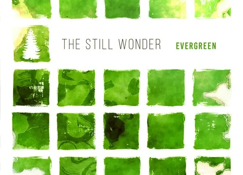 Evergreen il nuovo singolo di The Still Wonder