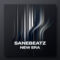 SaneBeatz apre un nuovo capitolo con "New Era": l'evoluzione tra BoomBap e Lo-Fi