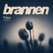 Brannen – Tulips: Il battito emotivo della nuova house melodica